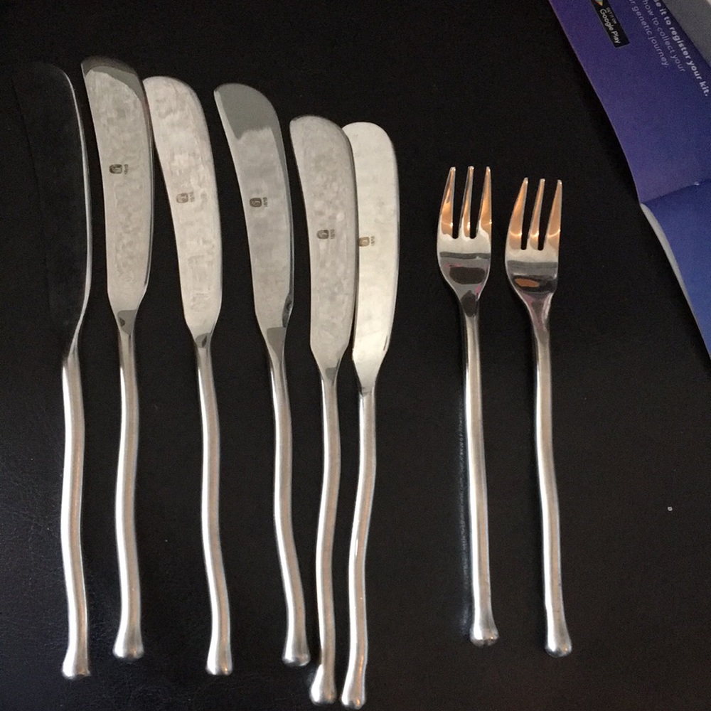 Gourmet settings Exotique flatware set of 8 pieces